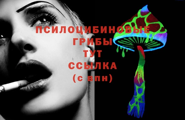 тгк Алзамай