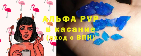 шишки Абинск