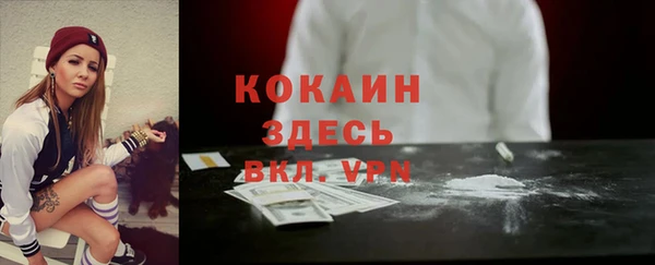 тгк Алзамай