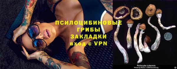 эйфоретик Алексеевка