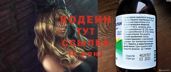 ГАЛЛЮЦИНОГЕННЫЕ ГРИБЫ Абаза